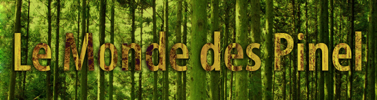 Logo Pinel